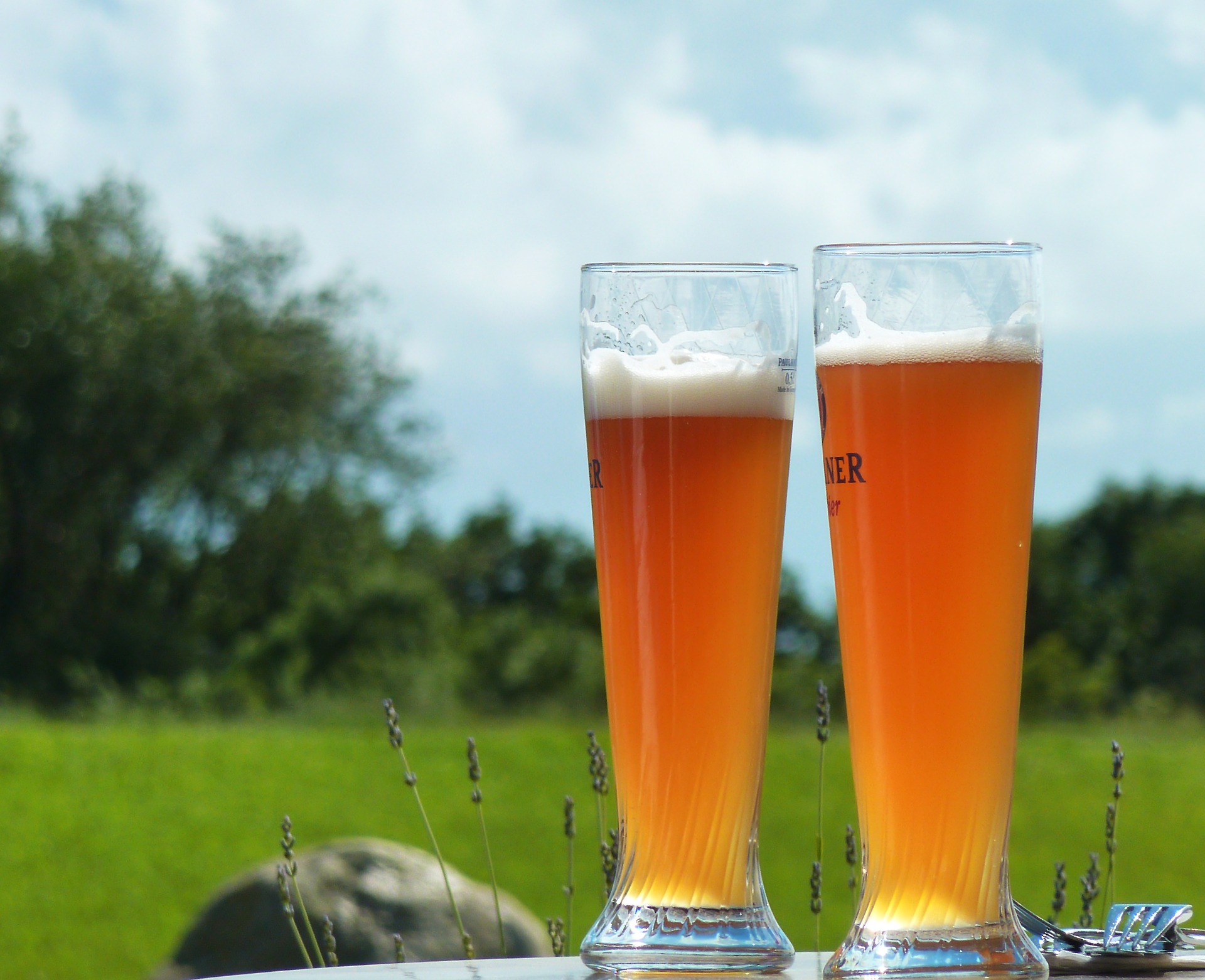 Welches Bier Gehört In Welches Glas